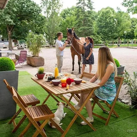 Holiday home De L'ecurie La Fourasse Luneville